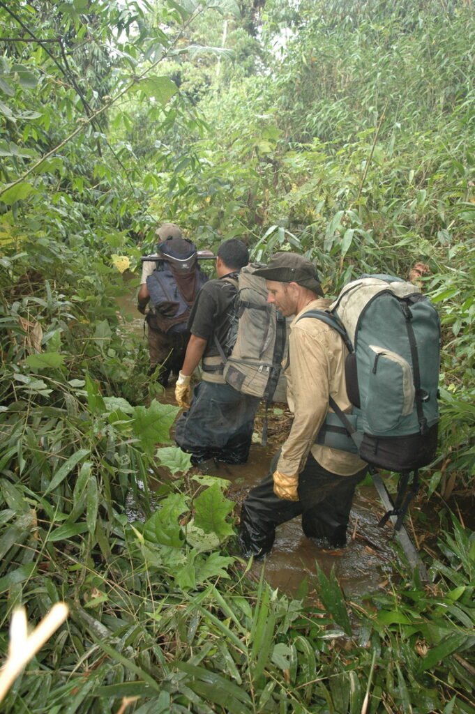marche dans les marais
