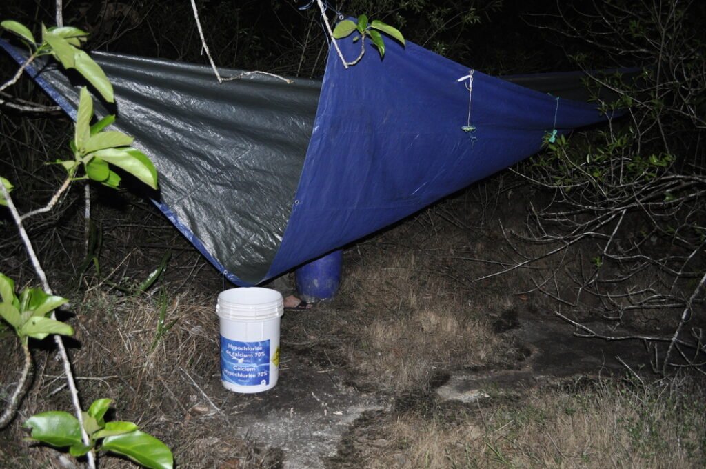 Collecte d'eau de pluie sur la savane roche