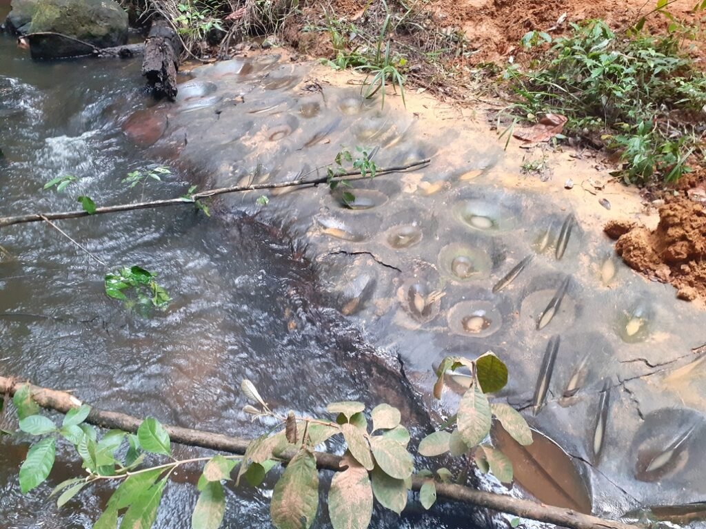 Polissoirs à Bamboula
