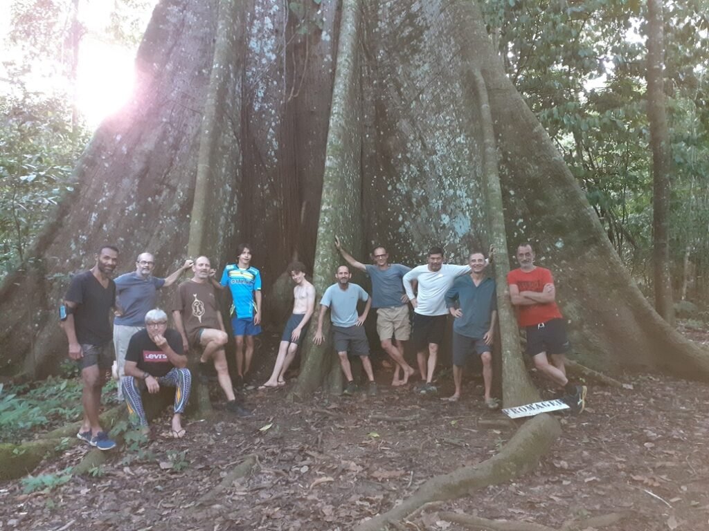 Au pied de l'arbre de l'année de Saül