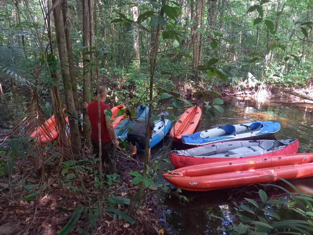 Aux sources de l'Ekini