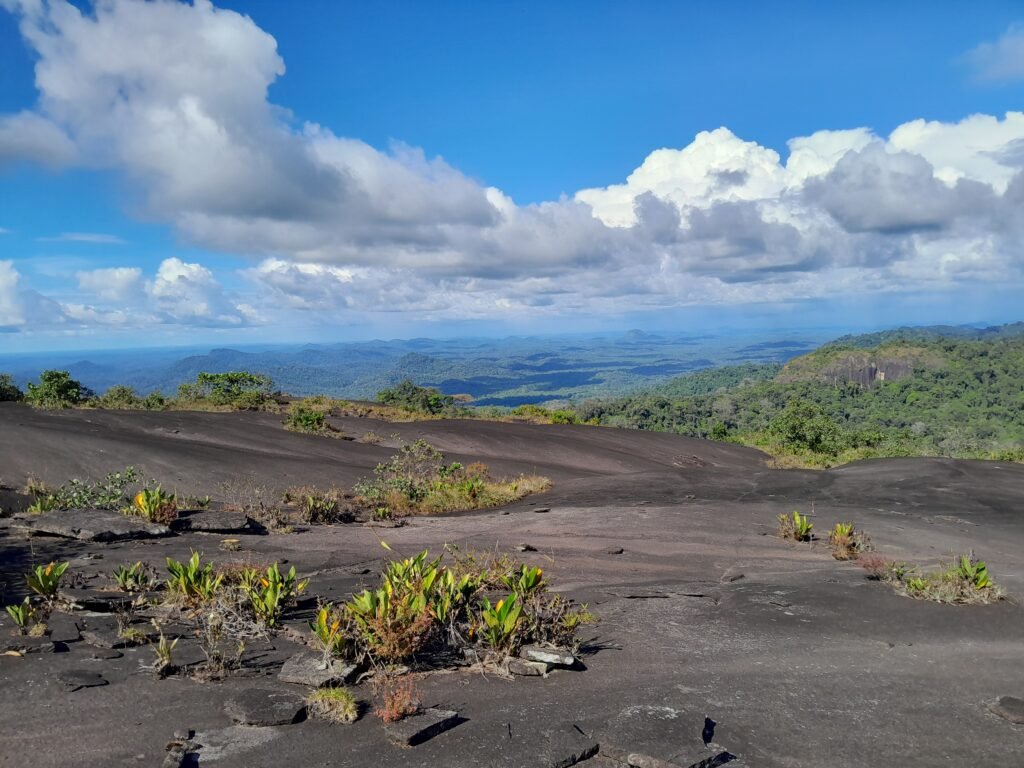 Vue coté Suriname
